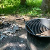 Review photo of Spruce Pond Camping Area - Morgan Hill State Forest by Janet R., June 16, 2024