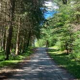 Review photo of Spruce Pond Camping Area - Morgan Hill State Forest by Janet R., June 16, 2024