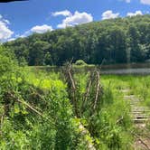 Review photo of Spruce Pond Camping Area - Morgan Hill State Forest by Janet R., June 16, 2024