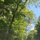 Review photo of Spruce Pond Camping Area - Morgan Hill State Forest by Janet R., June 16, 2024