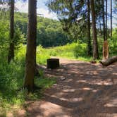 Review photo of Spruce Pond Camping Area - Morgan Hill State Forest by Janet R., June 16, 2024