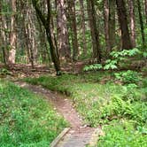 Review photo of Morgan Hill State Forest Dispersed by Janet R., June 18, 2024