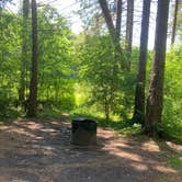 Review photo of Spruce Pond Camping Area - Morgan Hill State Forest by Janet R., June 16, 2024