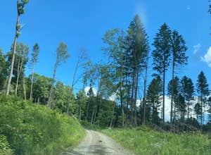 Morgan Hill State Forest Dispersed