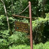 Review photo of Spruce Pond Camping Area - Morgan Hill State Forest by Janet R., June 16, 2024