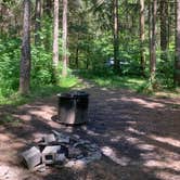 Review photo of Spruce Pond Camping Area - Morgan Hill State Forest by Janet R., June 16, 2024