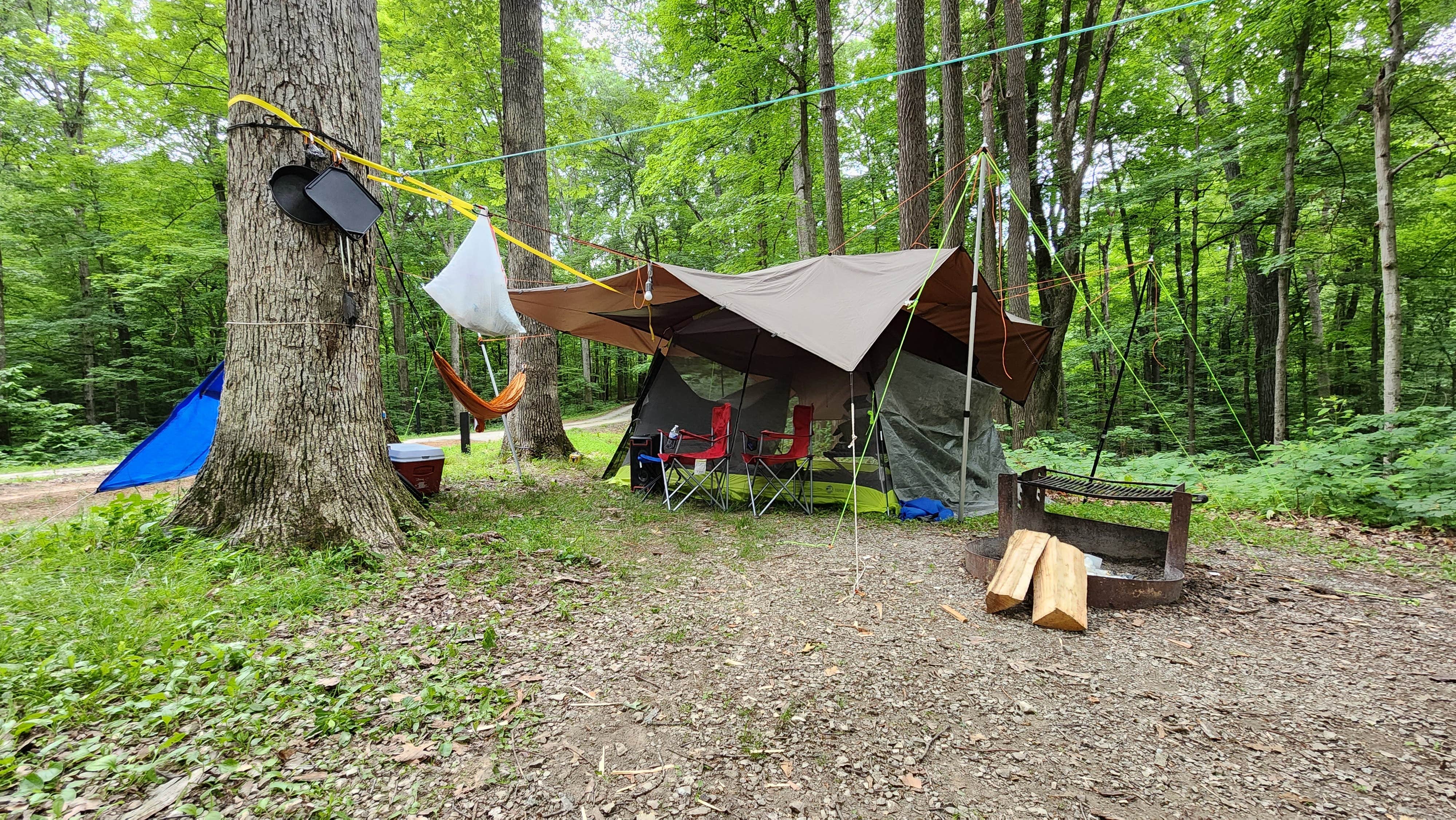 Camper submitted image from Oak Ridge Camping Area — Morgan-Monroe State Forest - 4