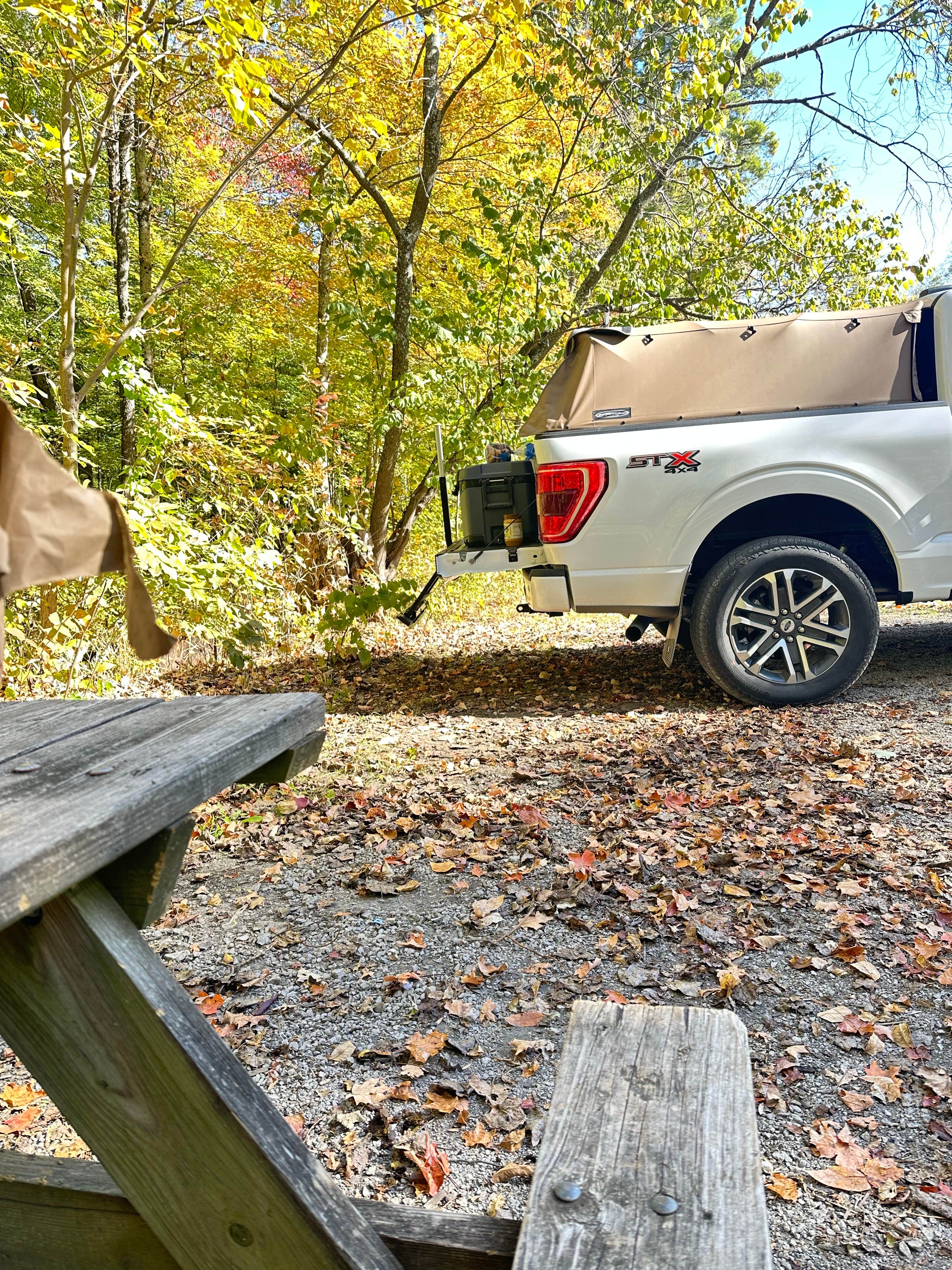 Oak Ridge Camping Area — Morgan-Monroe State Forest