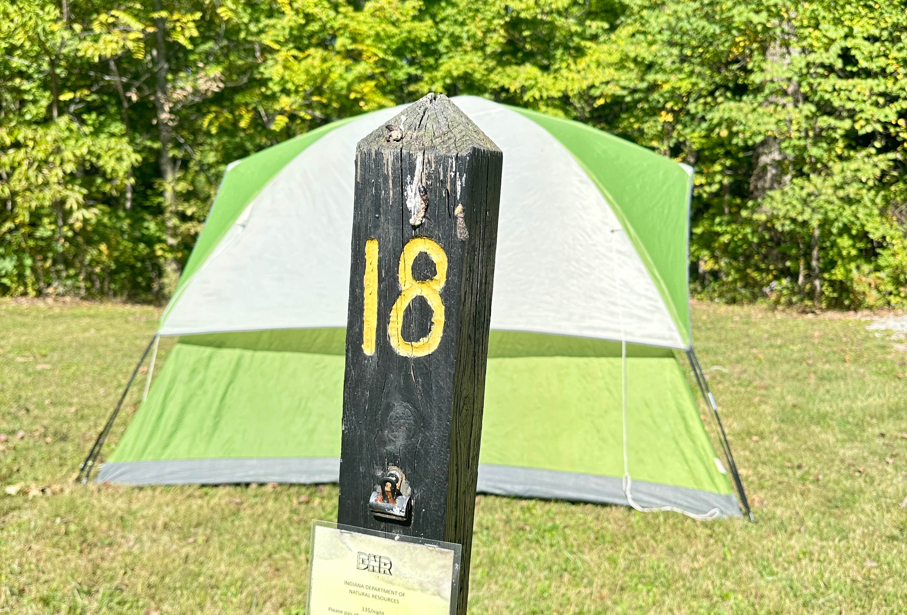 Morgan Ridge Indiana Oak Ridge Camping Area — Morgan-Monroe State Forest | Martinsville, Indiana