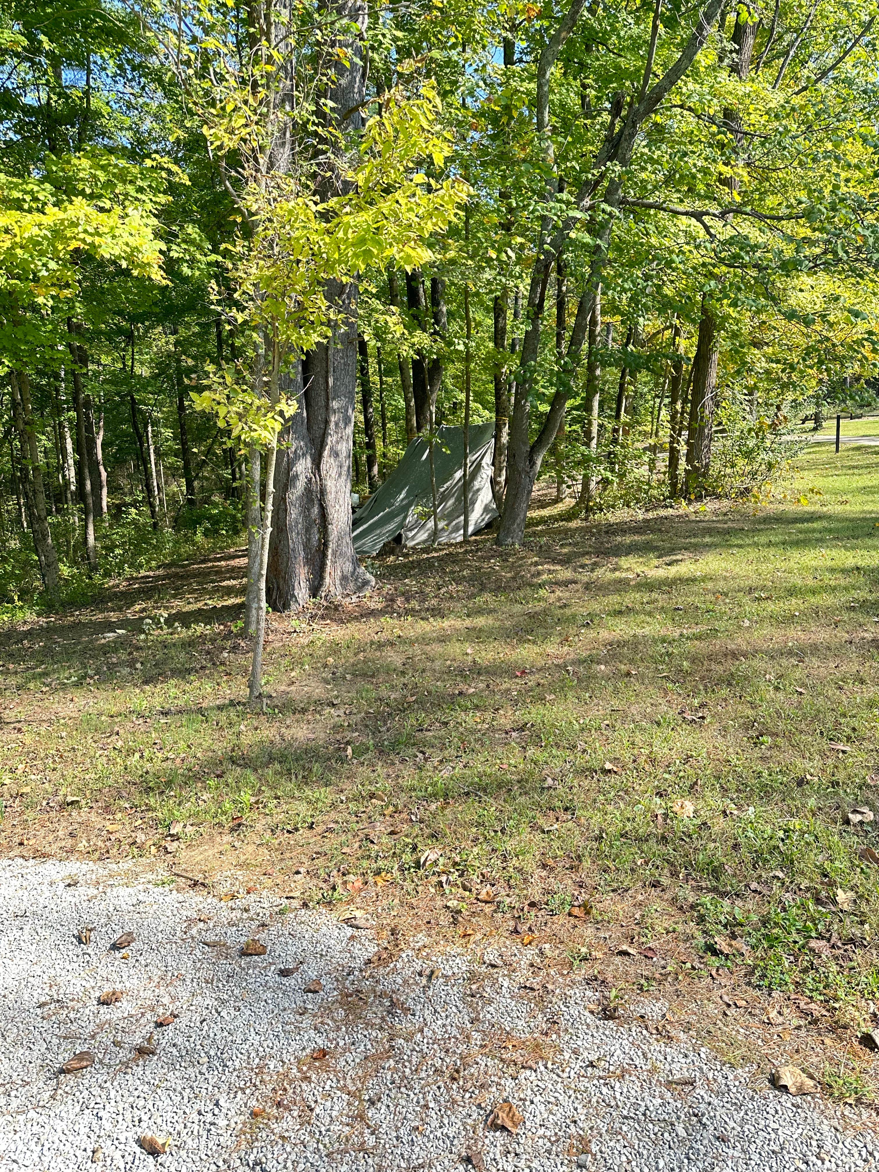 Oak Ridge Camping Area — Morgan-Monroe State Forest