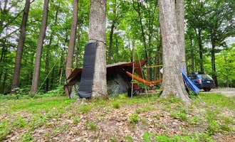 Camping near Lake Haven Retreat: Oak Ridge Morgan-Monroe State Forest, Martinsville, Indiana
