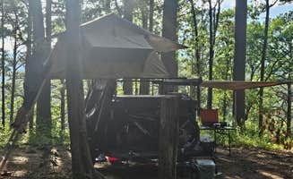 Caitlin F.'s photo of a dispersed camping area at Morgan Mtn Rd/Spy Rock Dispersed near Havana, AR