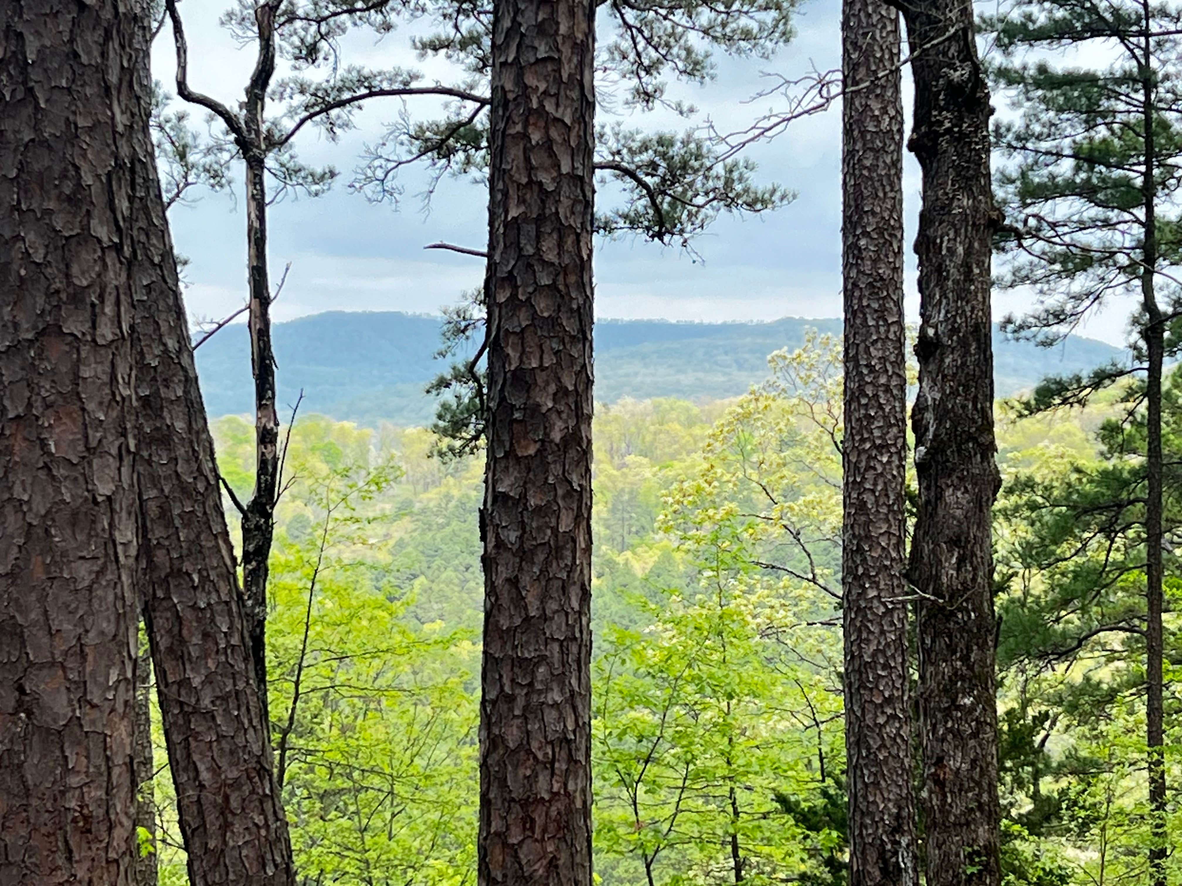 Morgan Mtn Rd/Spy Rock Dispersed