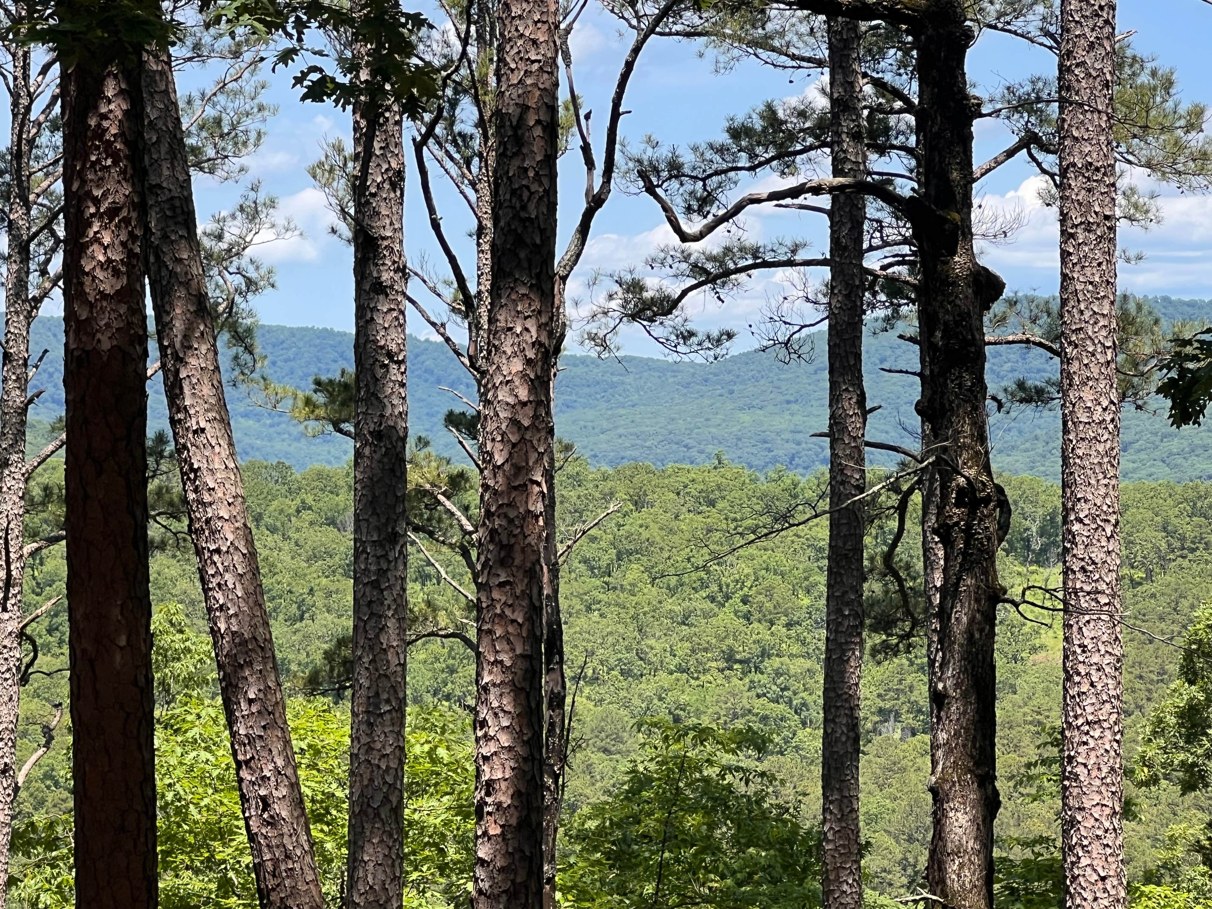 Camper-submitted photo at Morgan Mtn Rd/Spy Rock Dispersed near Fayetteville, AR