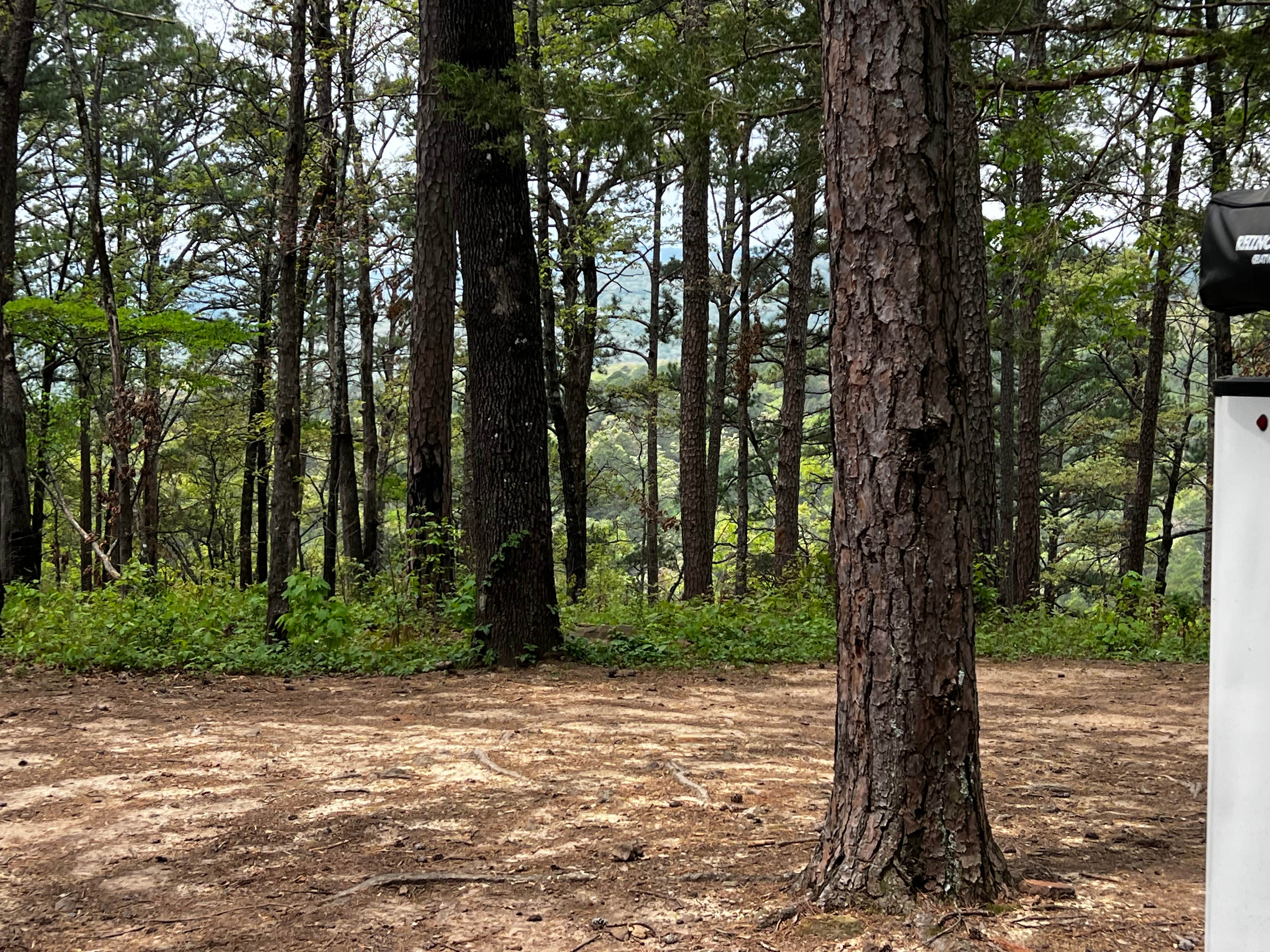 Morgan Mtn Rd/Spy Rock Dispersed