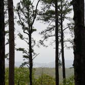 Review photo of Morgan Mtn Rd/Spy Rock Dispersed by Hannah M., October 29, 2025