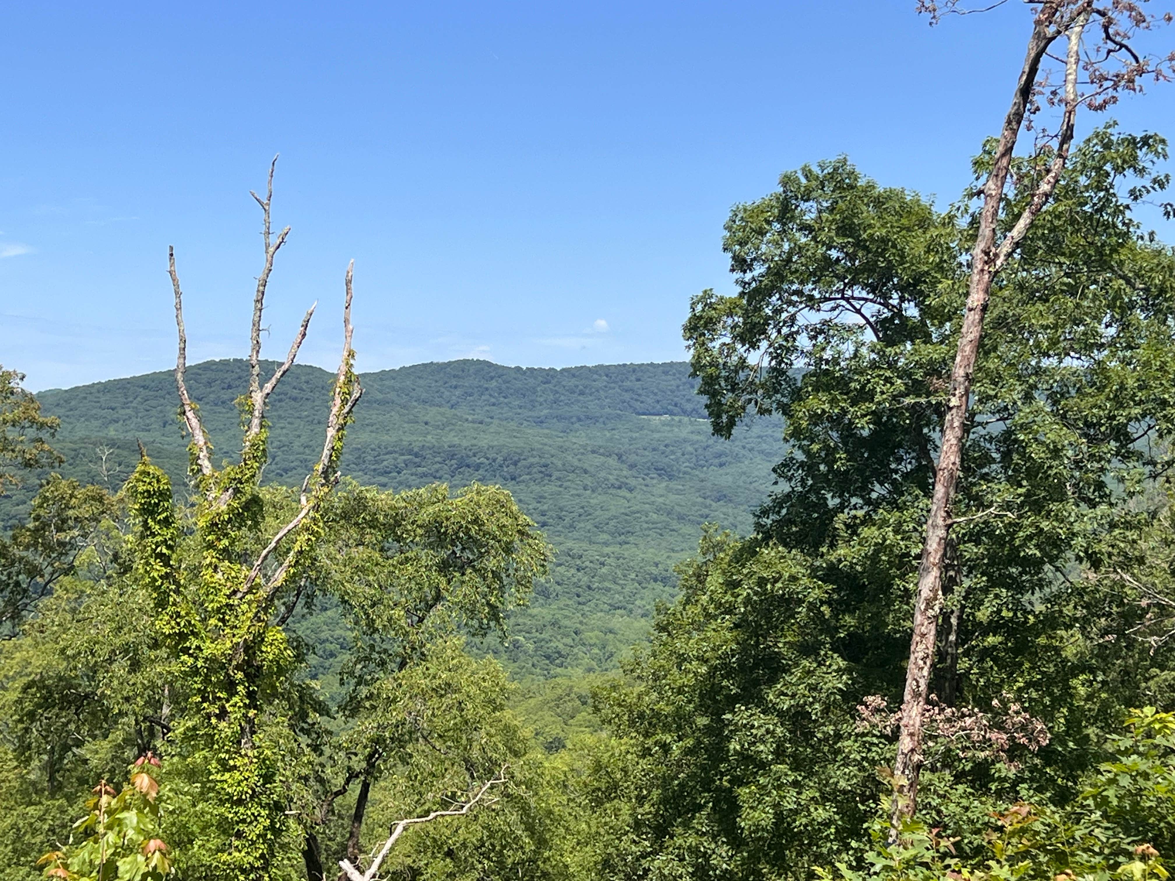 Camper-submitted photo at Morgan Mtn Rd/Spy Rock Dispersed near St. Paul, AR