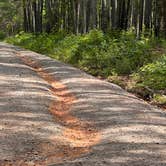 Review photo of Morgan Mtn Rd/Spy Rock Dispersed by Philip W., May 22, 2025