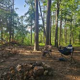 Review photo of Morgan Mtn Rd/Spy Rock Dispersed by Caitlin F., June 16, 2025