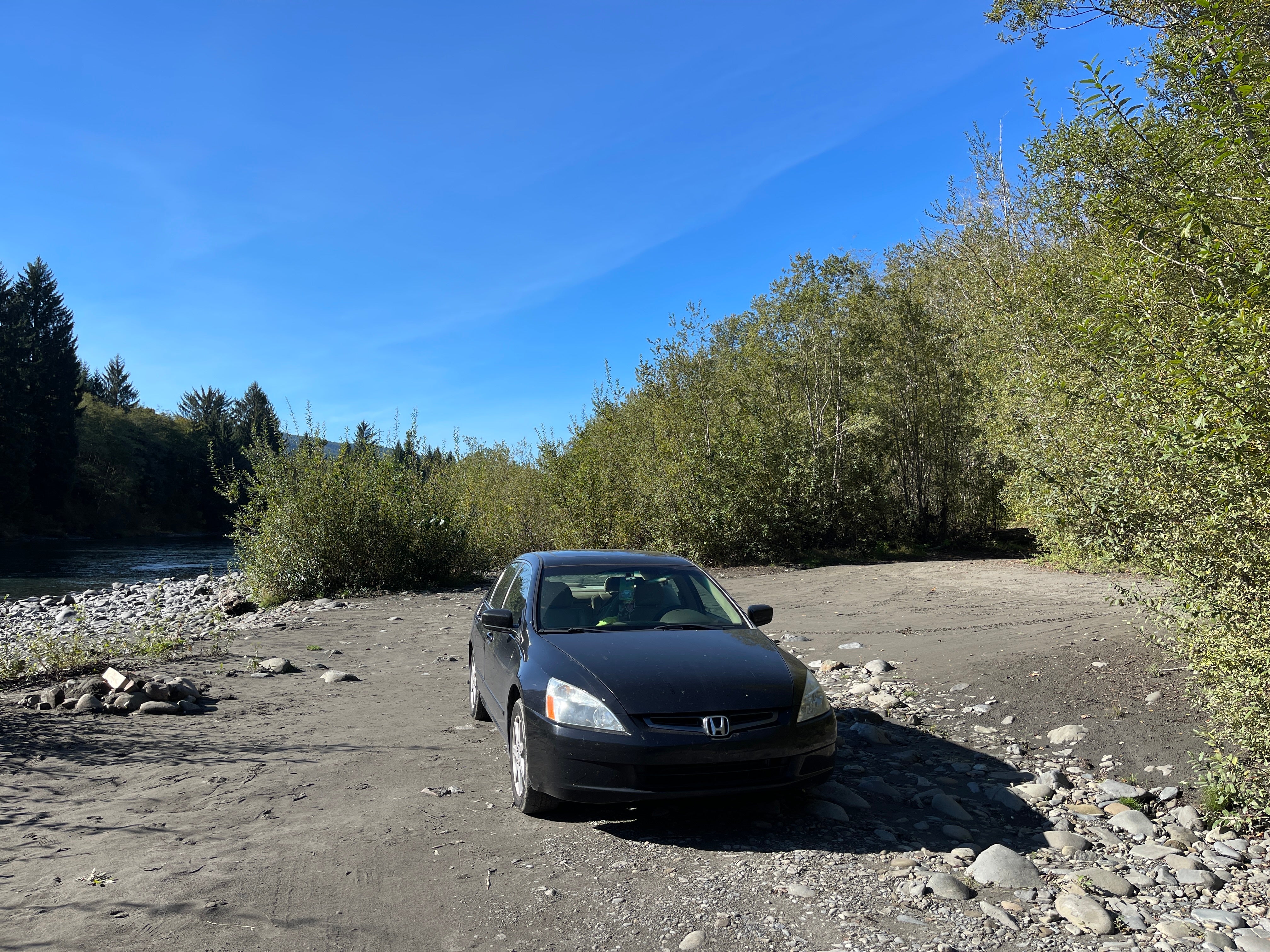 Camper submitted image from Hoh River Dispersed Camping - 5