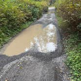 Review photo of Hoh River Dispersed Camping by Sarah S., September 27, 2025