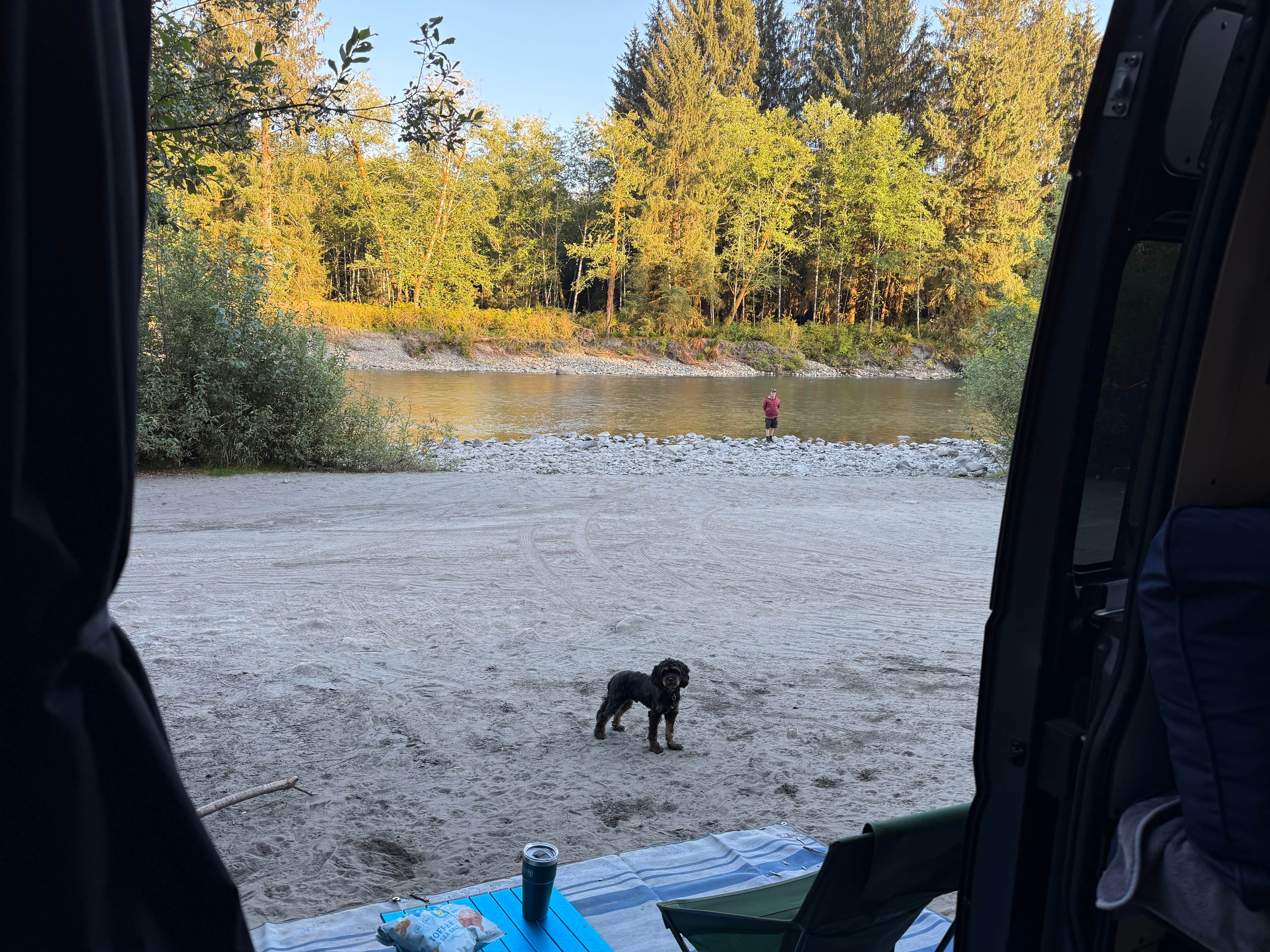 Tracy's photo of camping with pets at Hoh River Dispersed Camping near Olympic National Forest