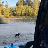 Review photo of Hoh River Dispersed Camping by Tracy , August 13, 2026