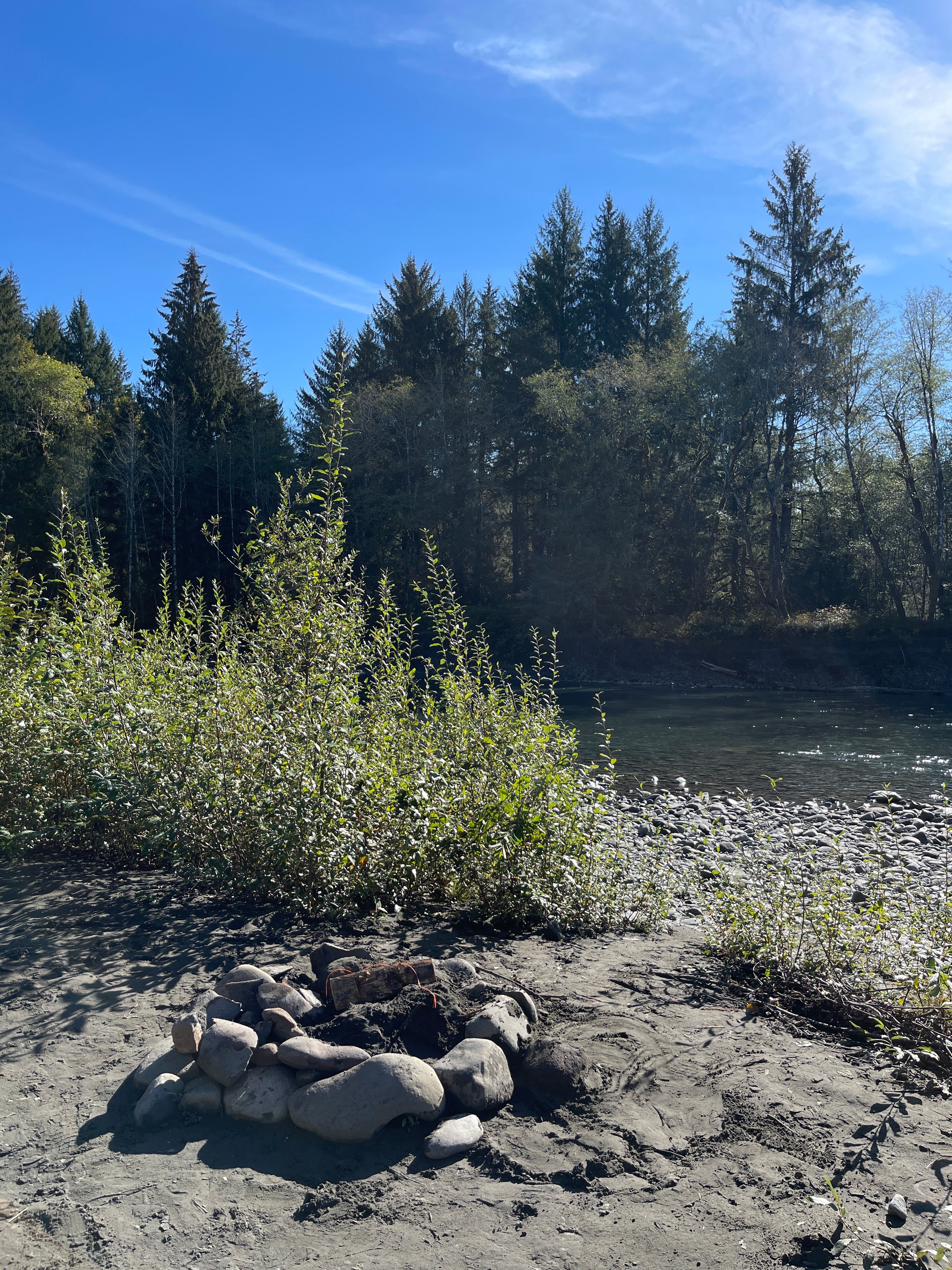 Camper submitted image from Hoh River Dispersed Camping - 3