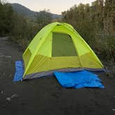 Review photo of Hoh River Dispersed Camping by Christian M., October 3, 2023