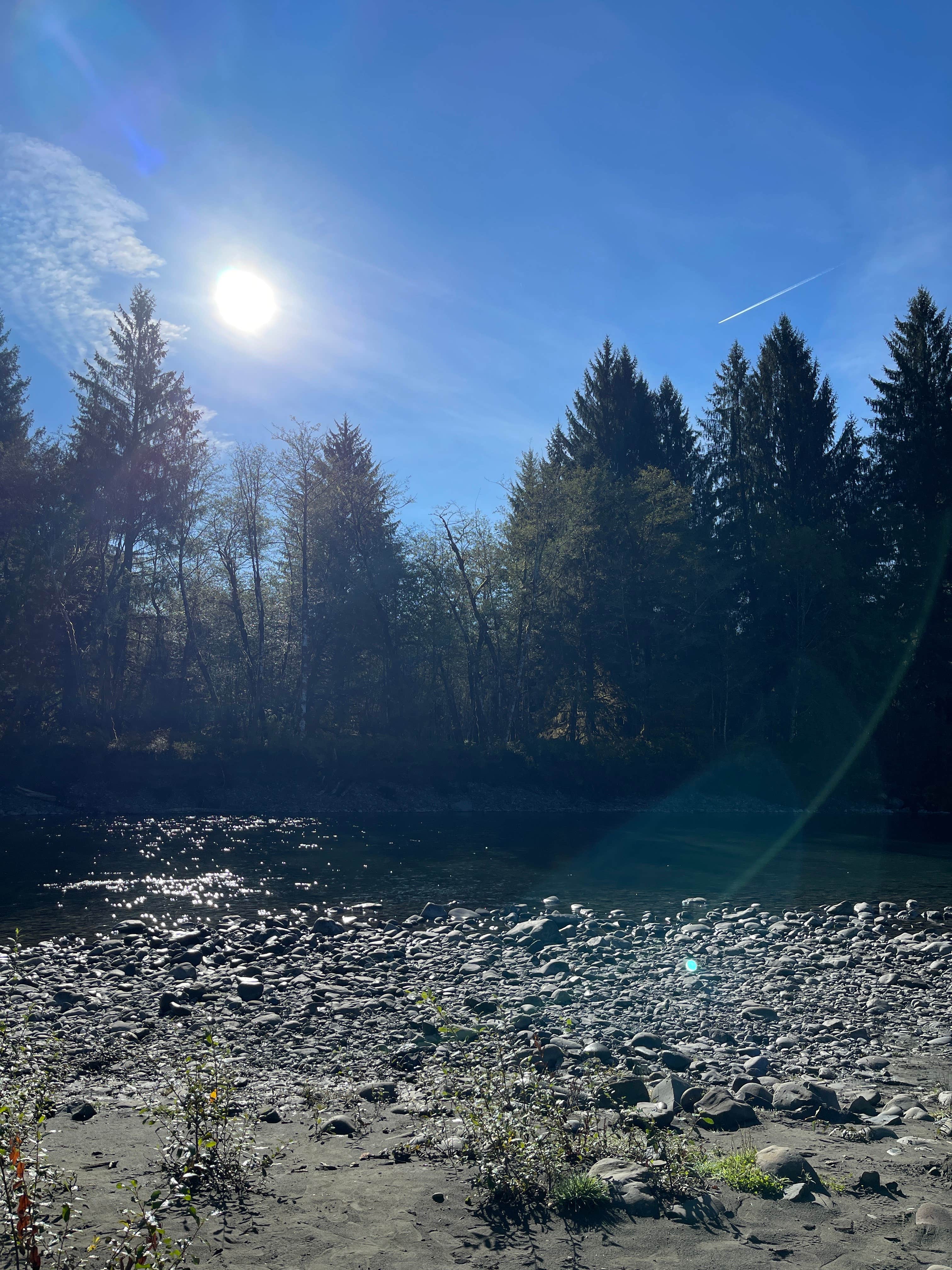 Camper submitted image from Hoh River Dispersed Camping - 2