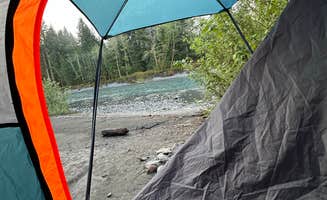 Ashley A.'s photo of a dispersed camping area at Hoh River Dispersed Camping near Forks, WA