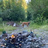 Review photo of Hoh River Dispersed Camping by Julia F., July 1, 2025