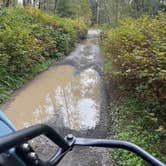 Review photo of Hoh River Dispersed Camping by Sarah S., September 27, 2025