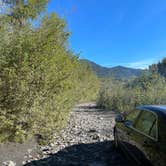 Review photo of Hoh River Dispersed Camping by Christian M., October 3, 2023