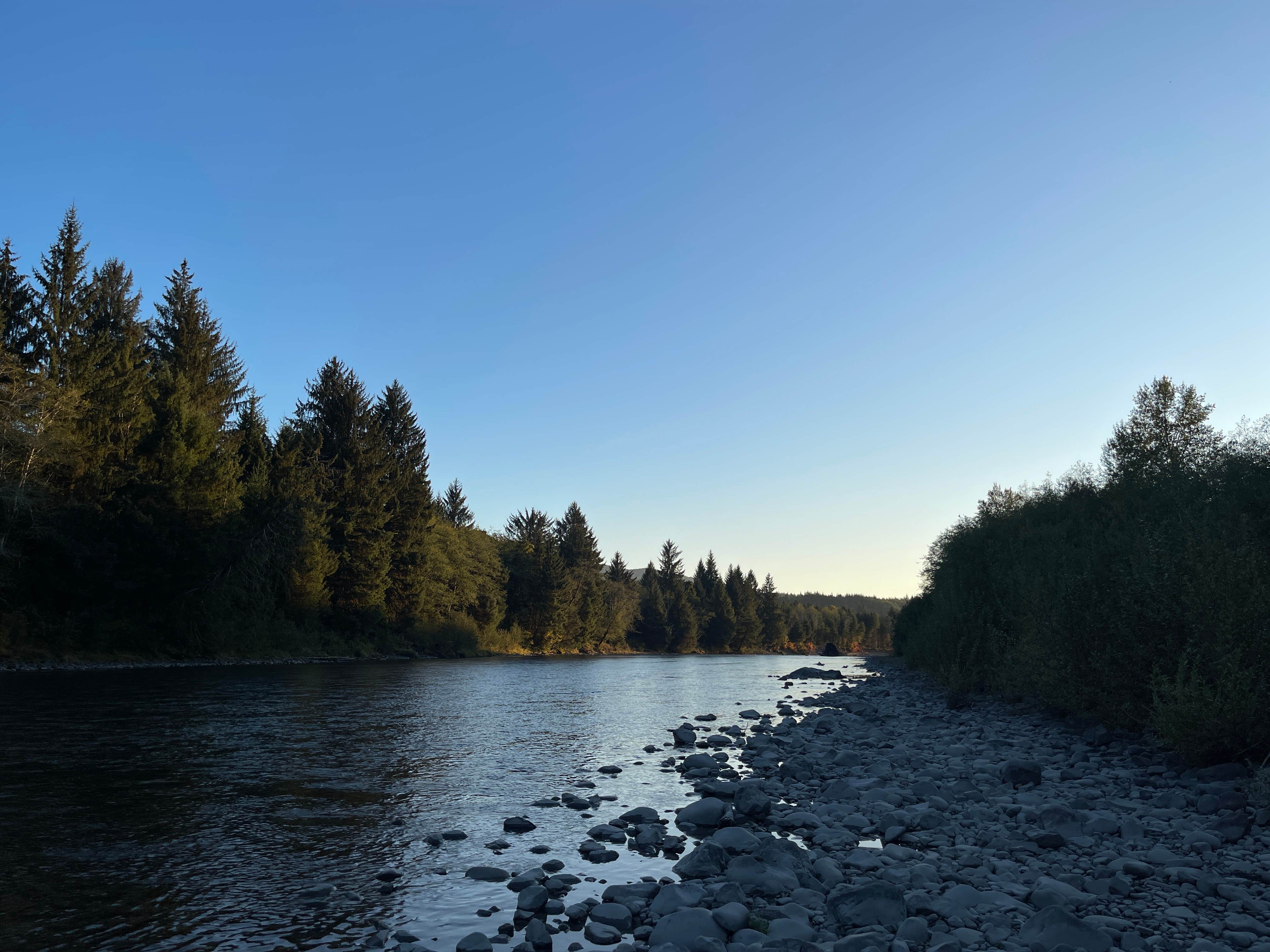 Christian M.'s photo of a dispersed camping area at Hoh River Dispersed Camping near Forks, WA