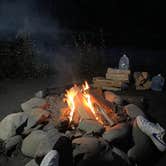 Review photo of Hoh River Dispersed Camping by Christian M., October 3, 2023