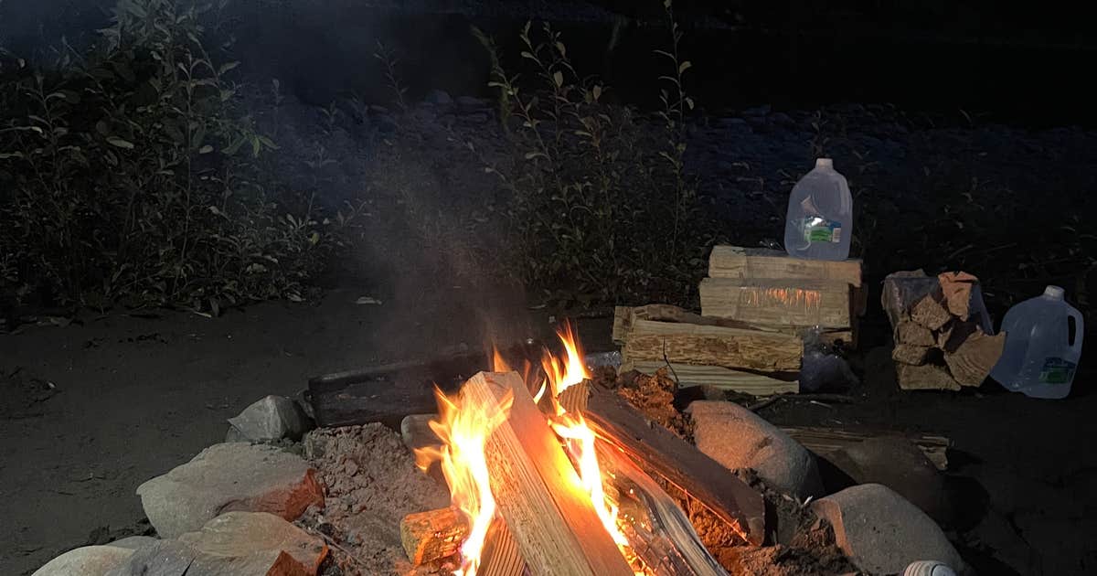 Hoh River Dispersed Camping