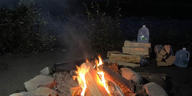 Camper submitted image from Hoh River Dispersed Camping