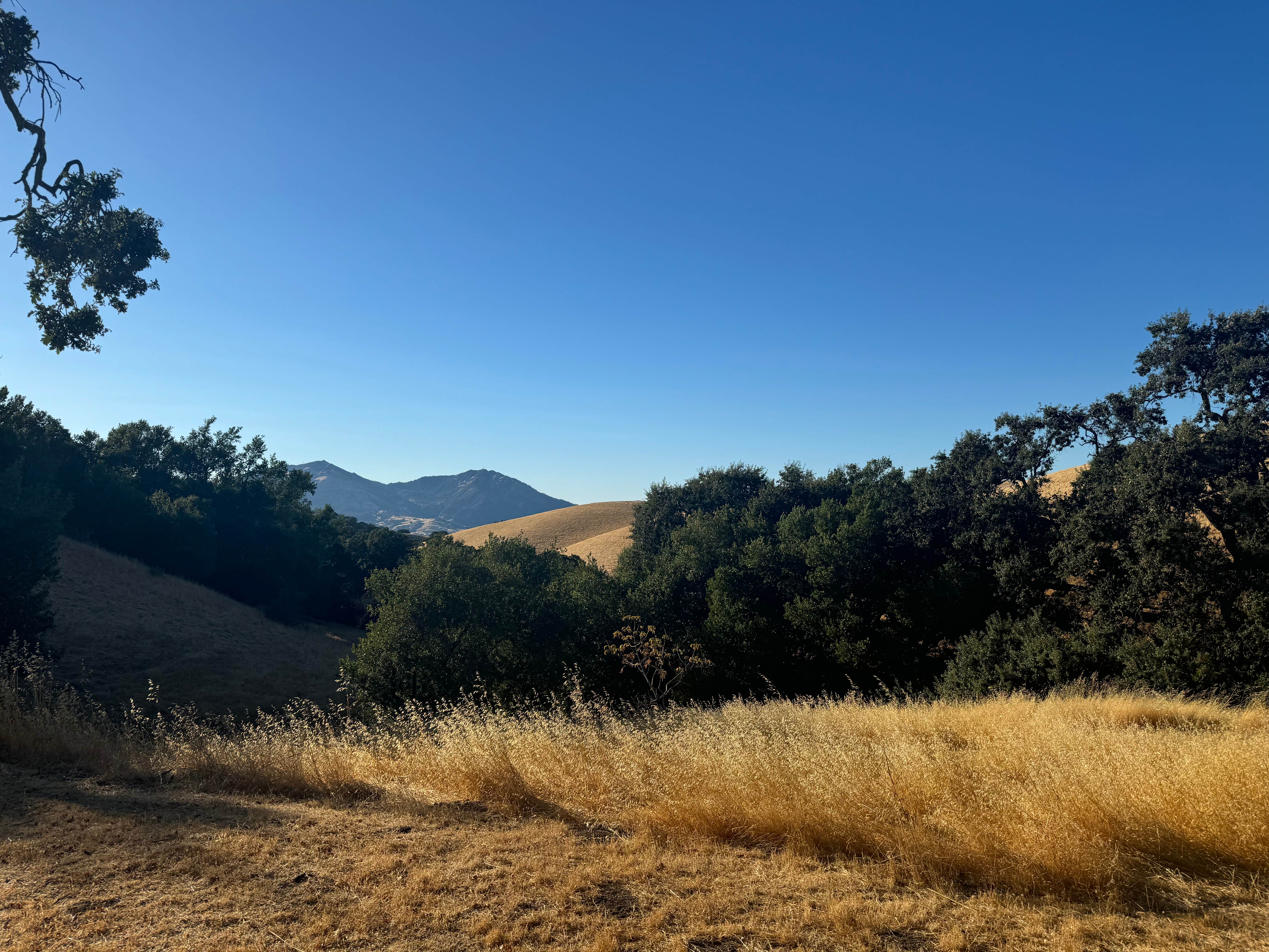 Camper-submitted photo at Morgan Territory Regional Preserve near Dixon, CA
