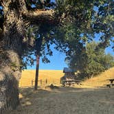 Review photo of Morgan Territory Regional Preserve by Tyler S., September 20, 2024