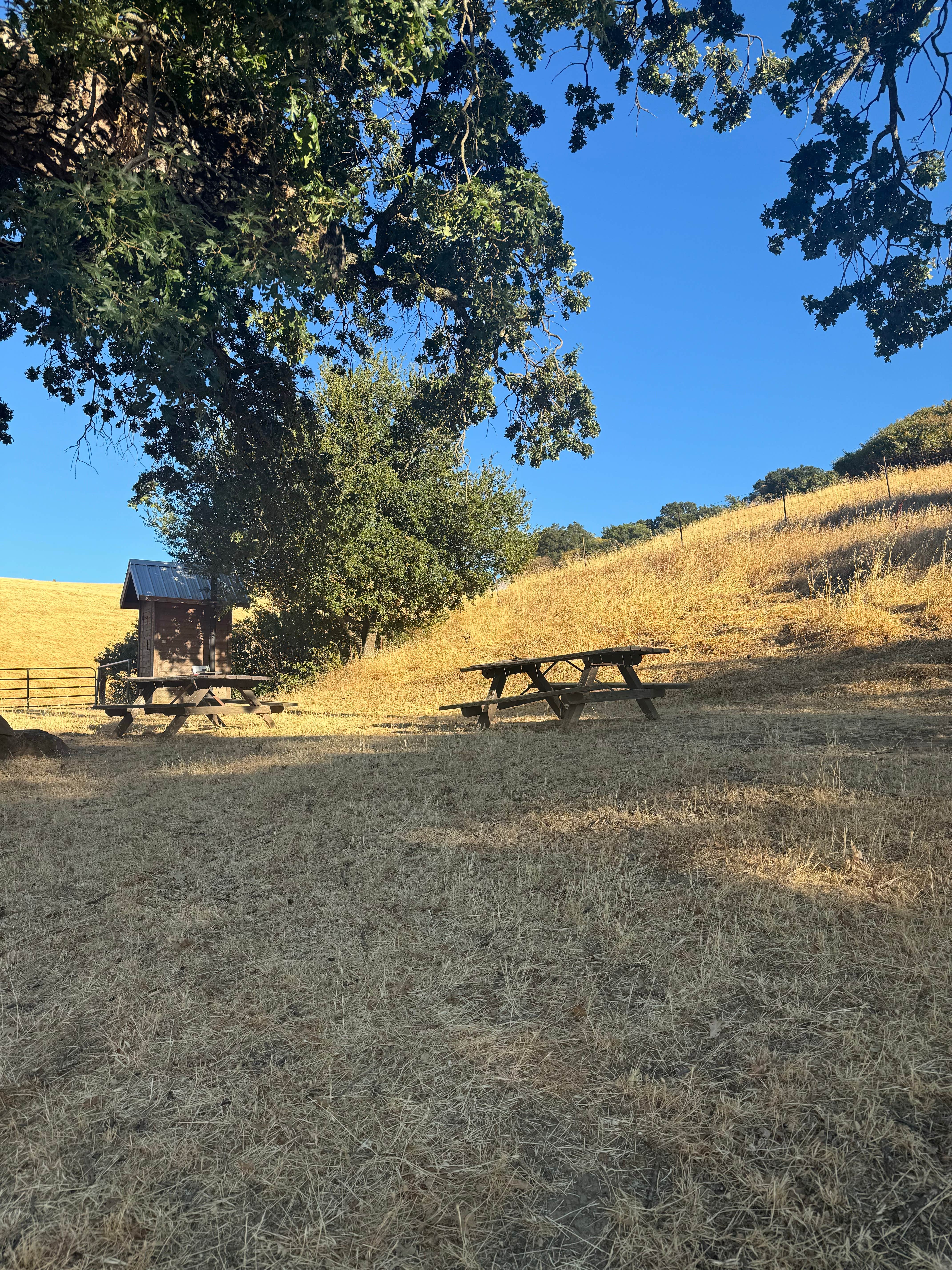 Camper submitted image from Morgan Territory Regional Preserve - 4