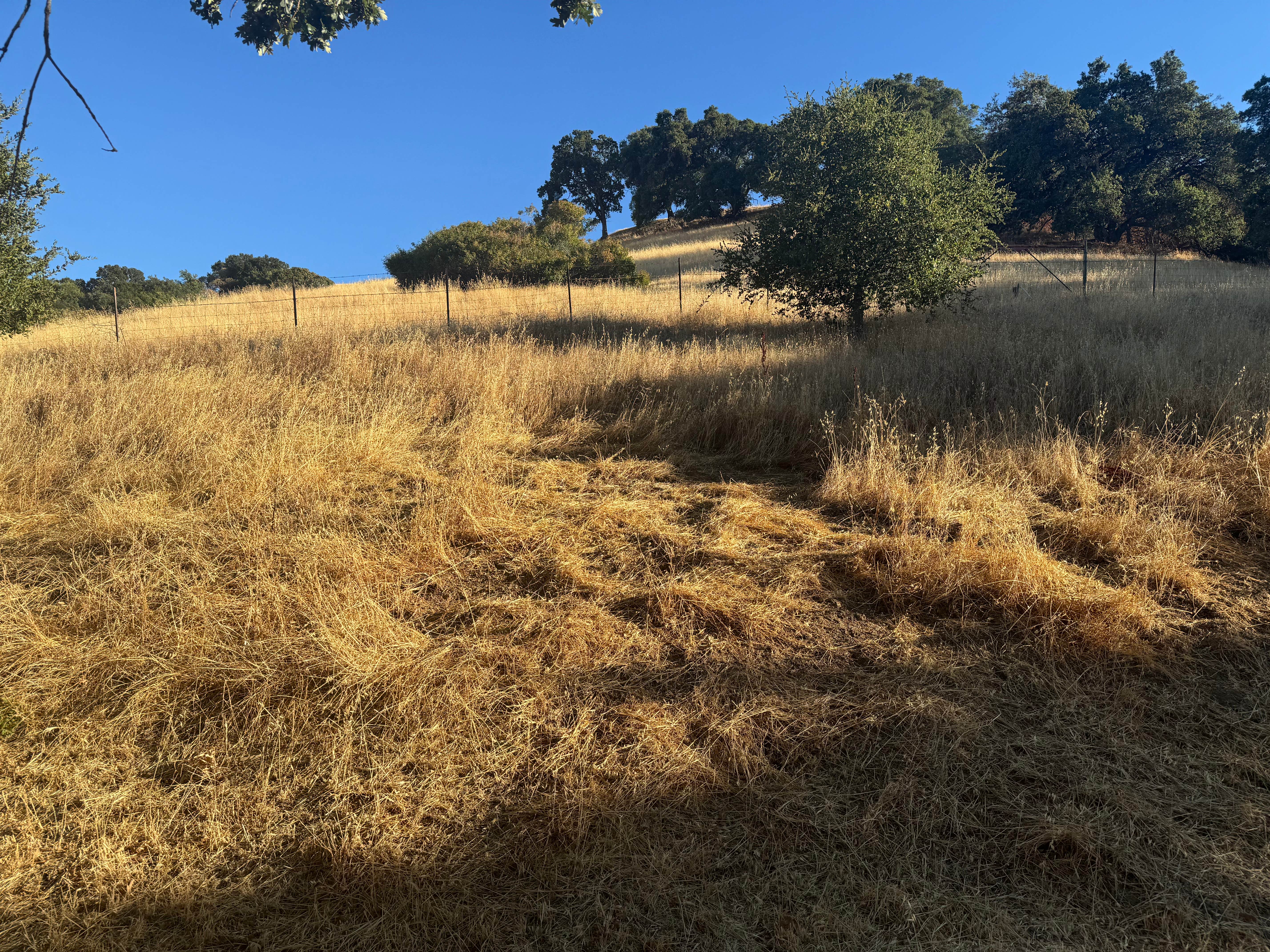Camper-submitted photo at Morgan Territory Regional Preserve near Byron, CA