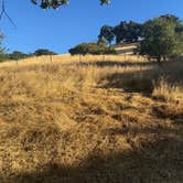 Review photo of Morgan Territory Regional Preserve by Tyler S., September 20, 2024