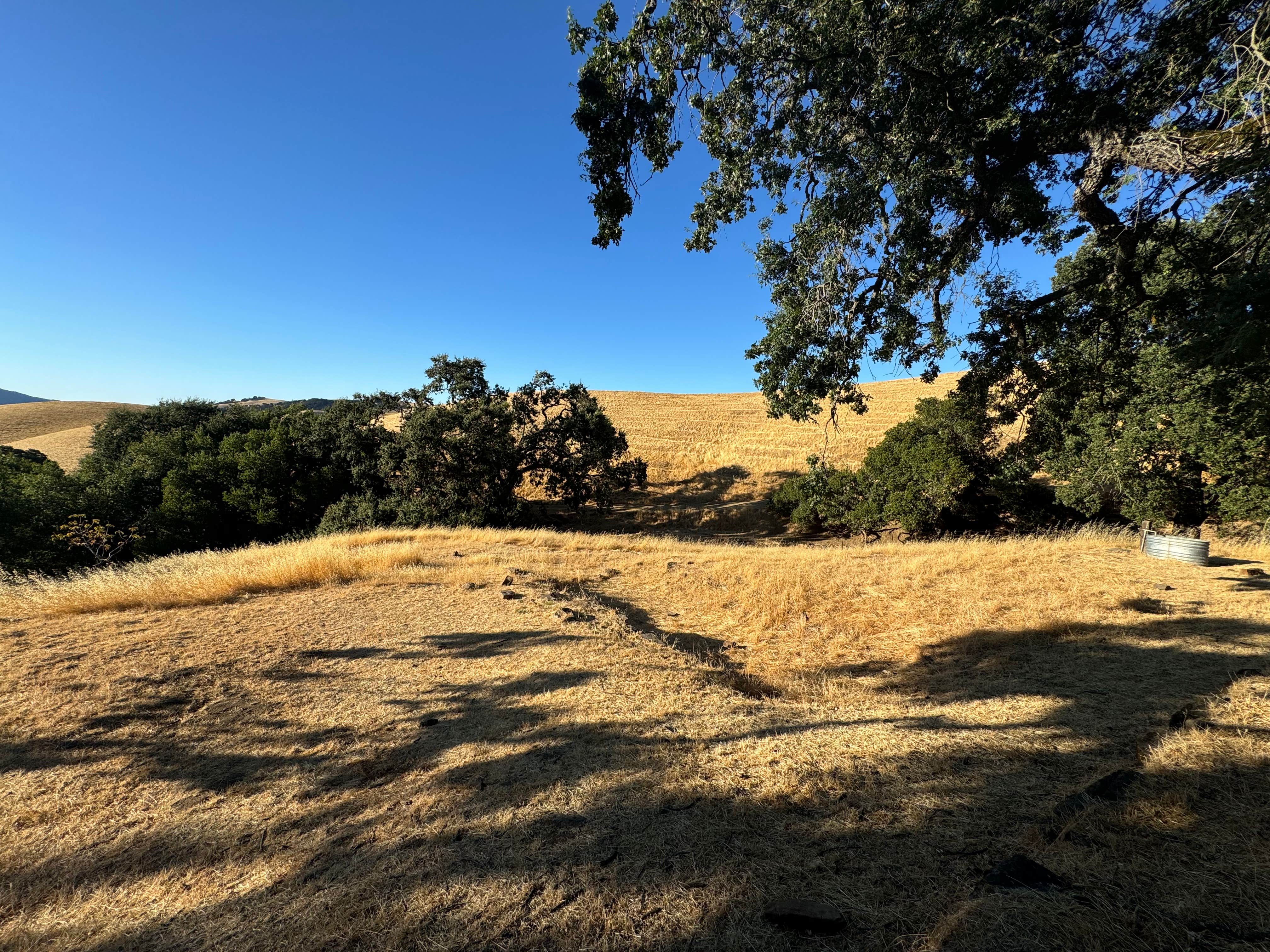 Camper-submitted photo at Morgan Territory Regional Preserve near Dixon, CA