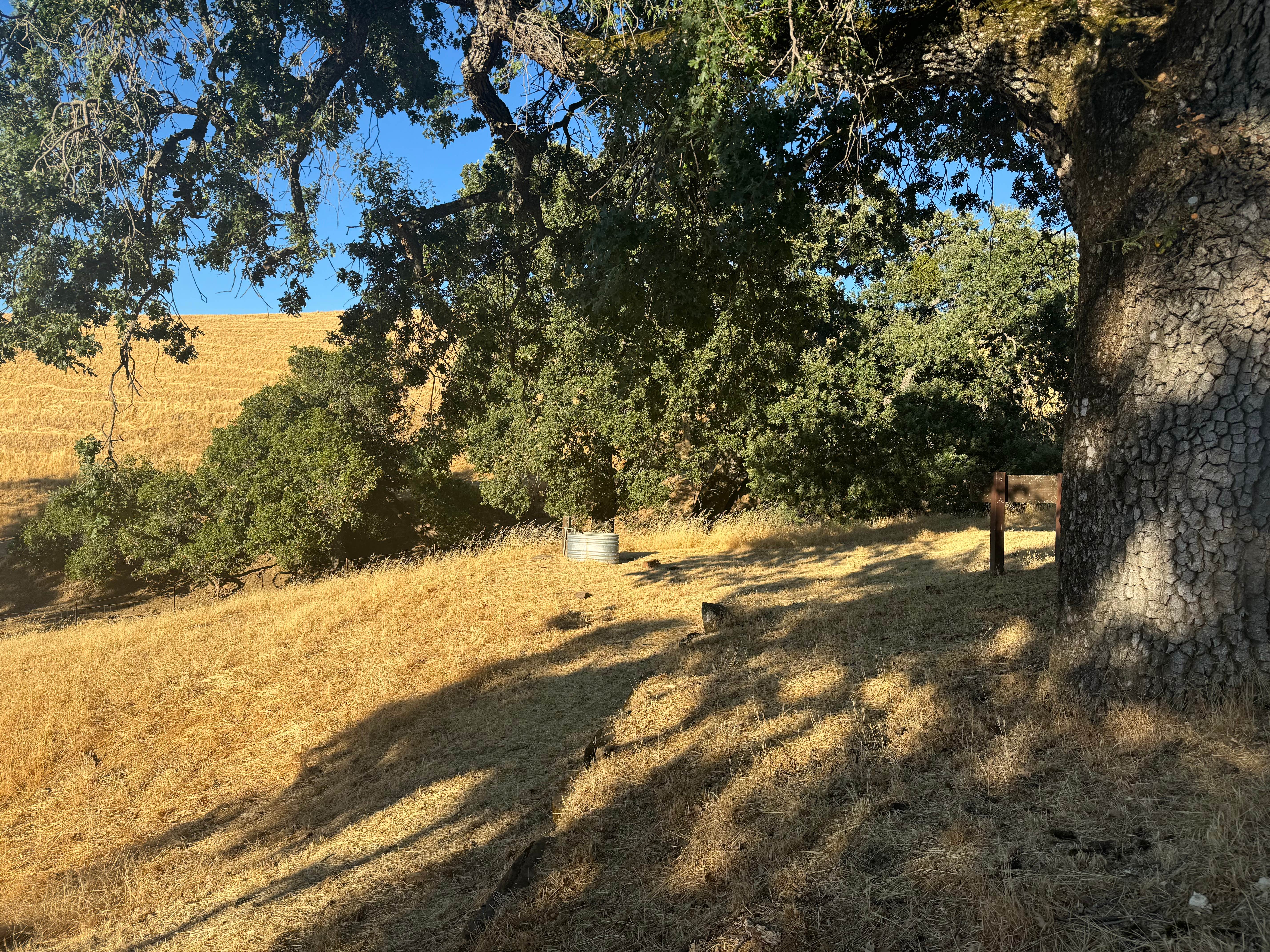 Camper-submitted photo at Morgan Territory Regional Preserve near Dixon, CA