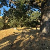 Review photo of Morgan Territory Regional Preserve by Tyler S., September 20, 2024