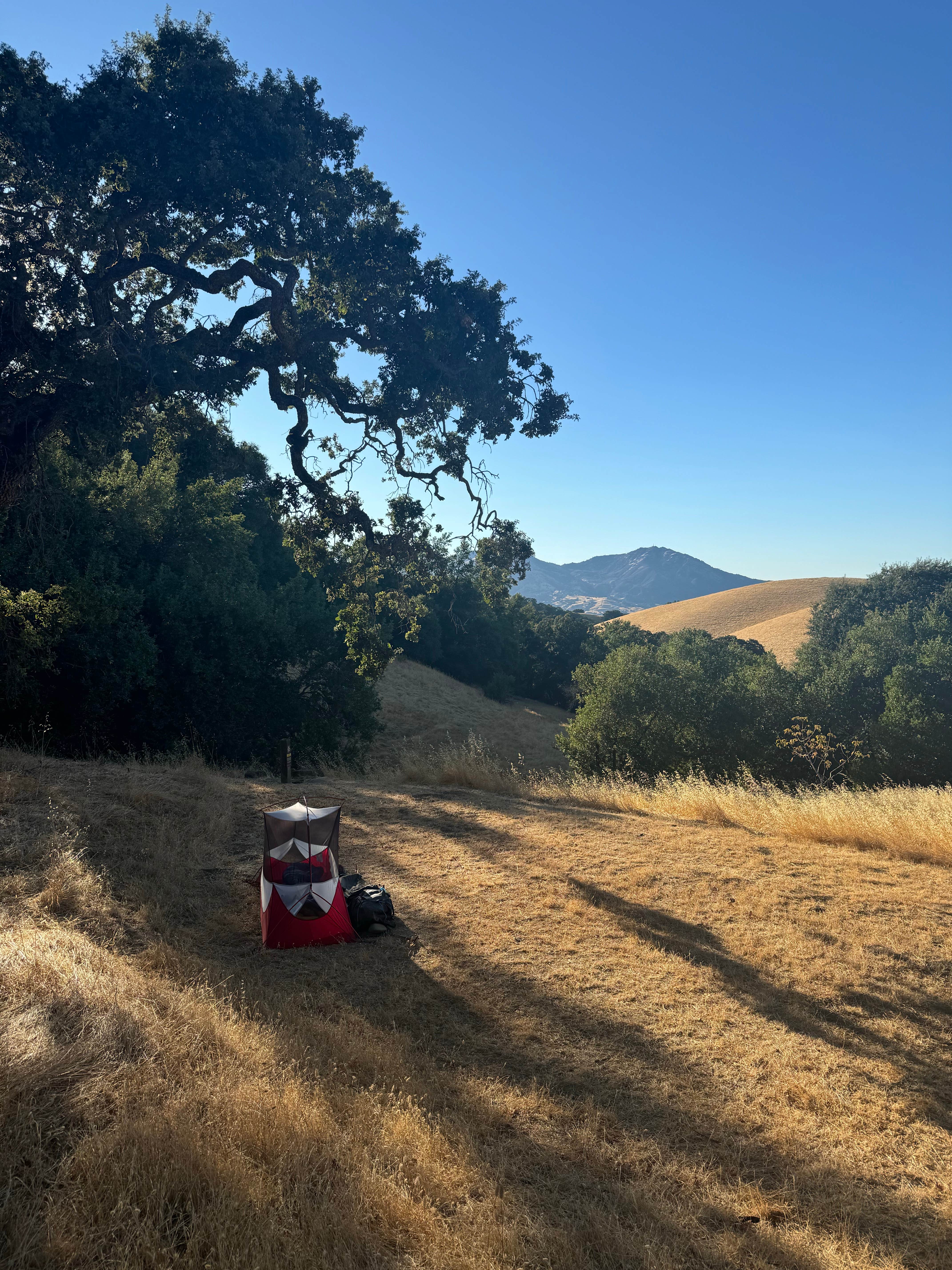 Tyler S.'s photo of tent camping at Morgan Territory Regional Preserve near Kensington, CA