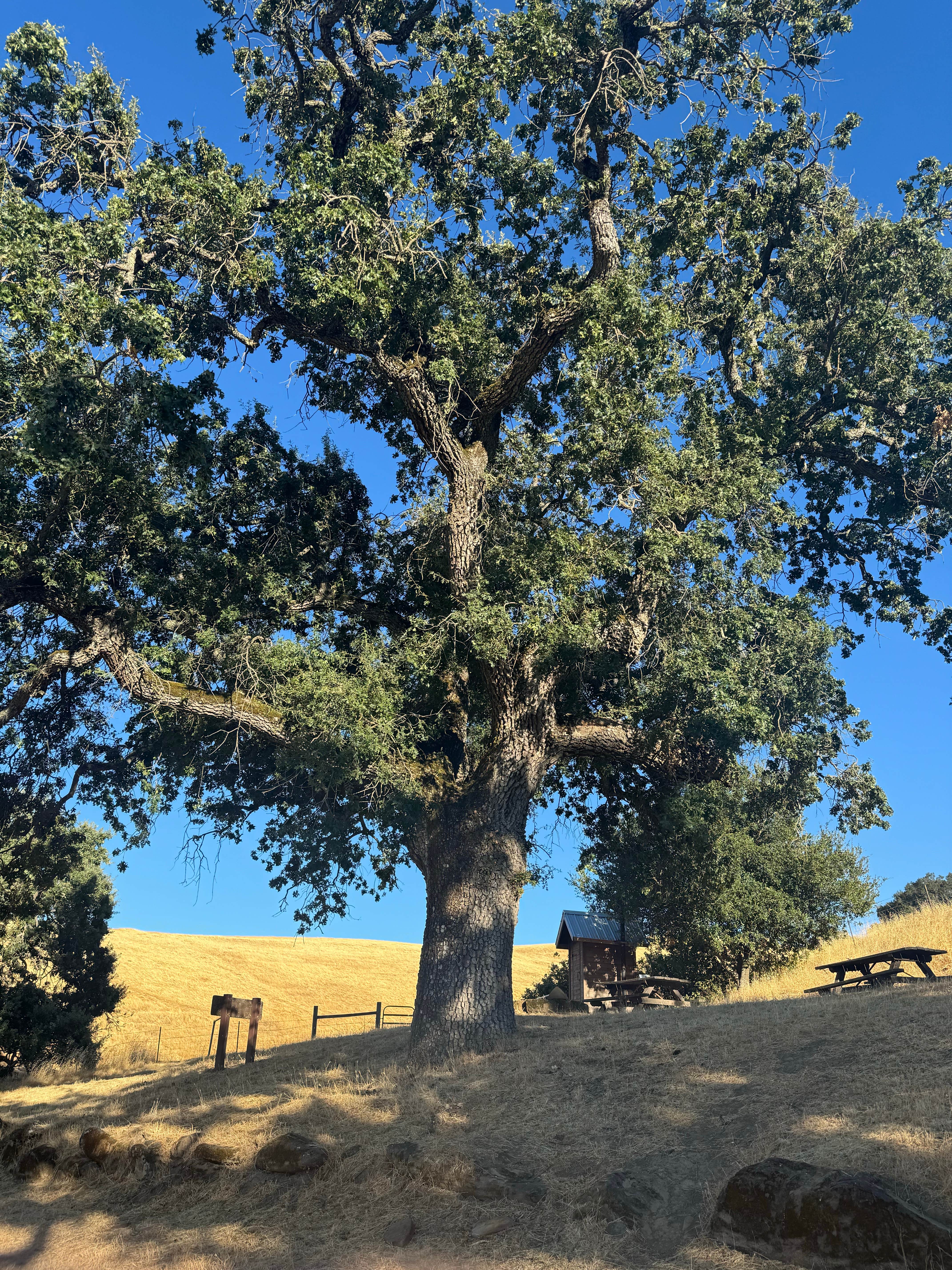 Camper-submitted photo at Morgan Territory Regional Preserve near Dixon, CA