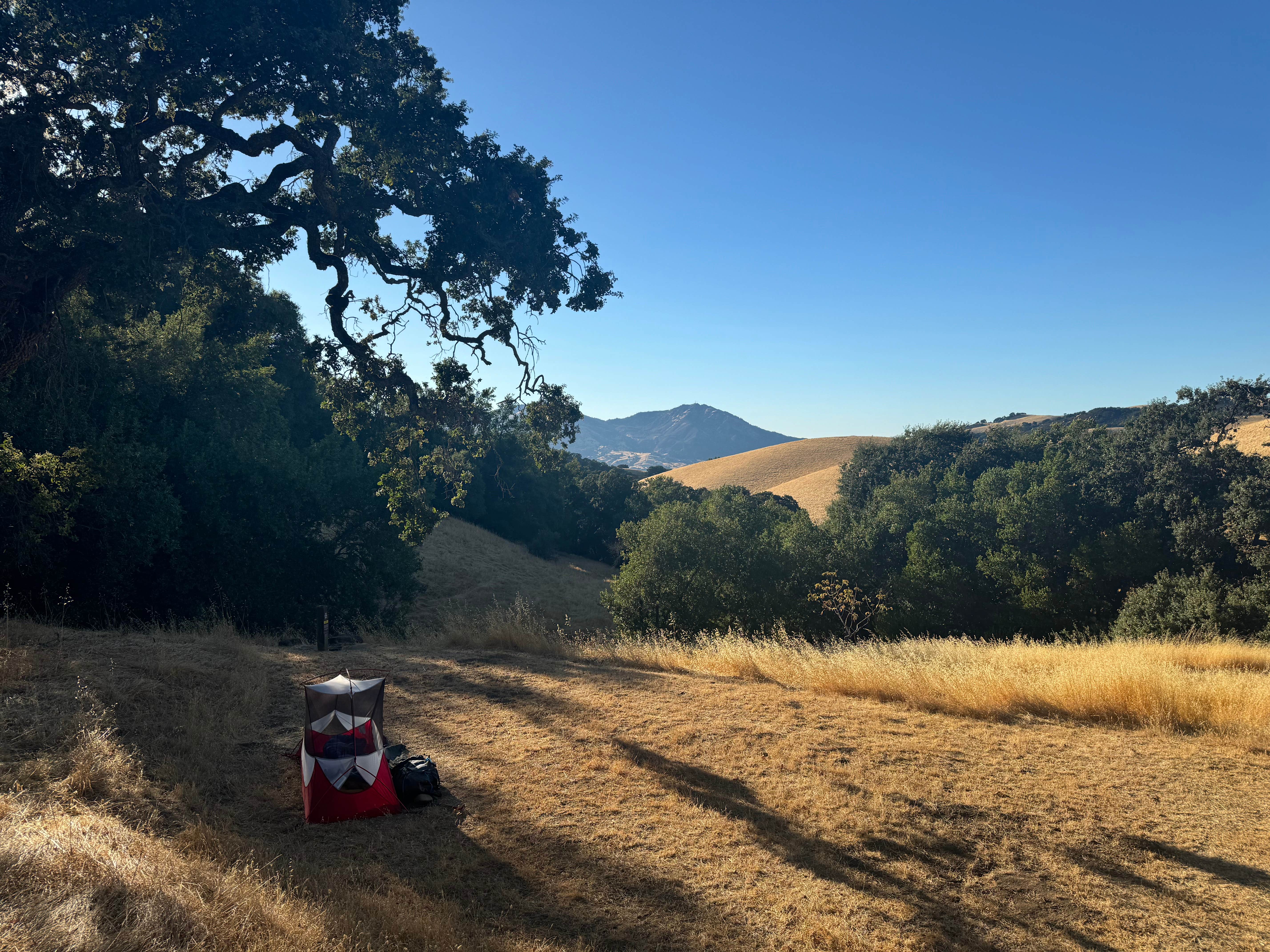 Tyler S.'s photo of tent camping at Morgan Territory Regional Preserve near Dixon, CA