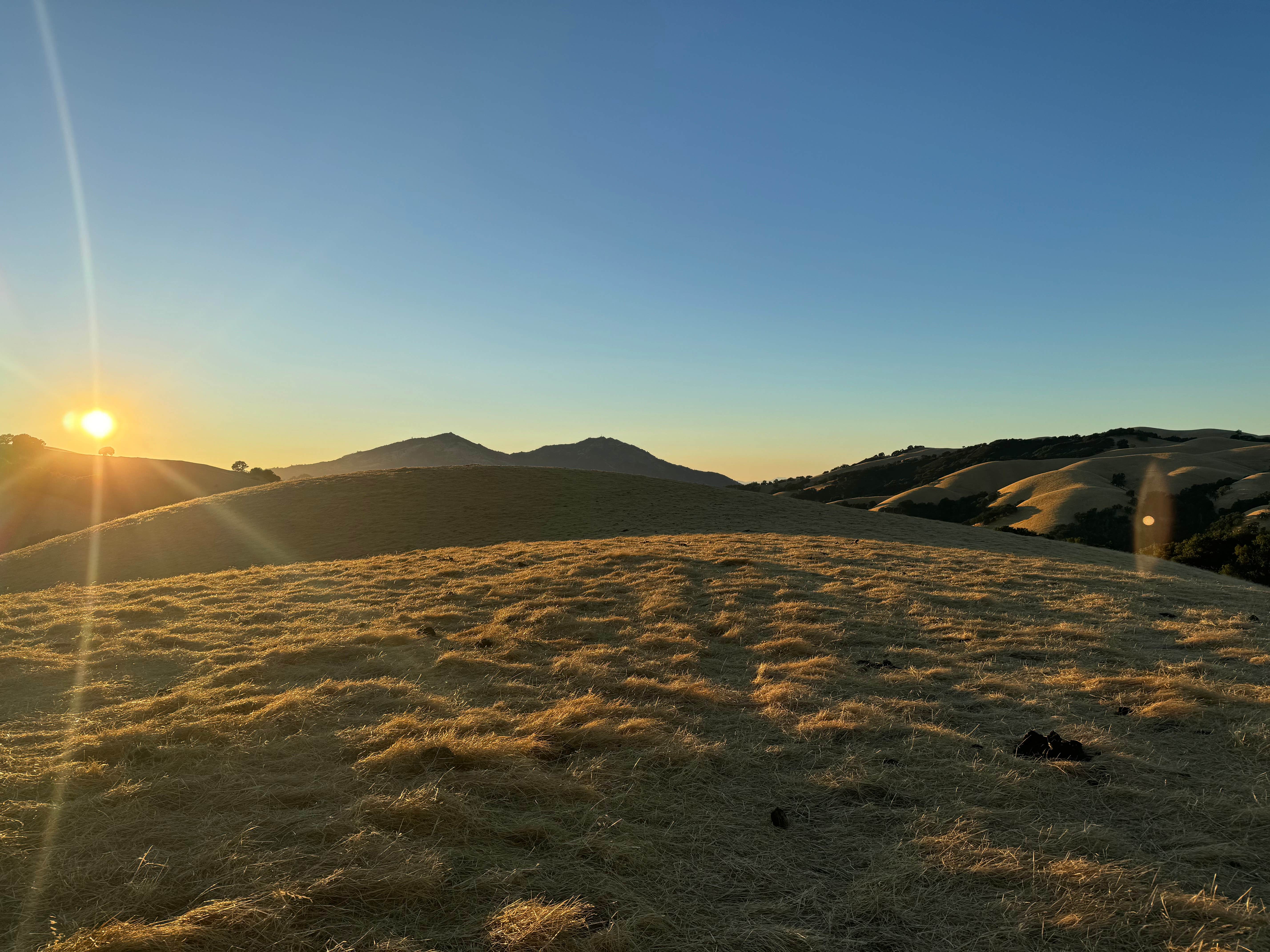 Camper submitted image from Morgan Territory Regional Preserve - 1